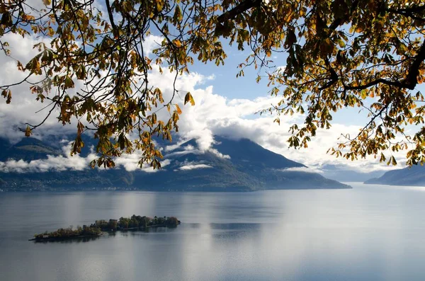 Brissago Islands Branches Alpine Lake Maggiore Mountains Ticino Switzerland — Stock Photo, Image