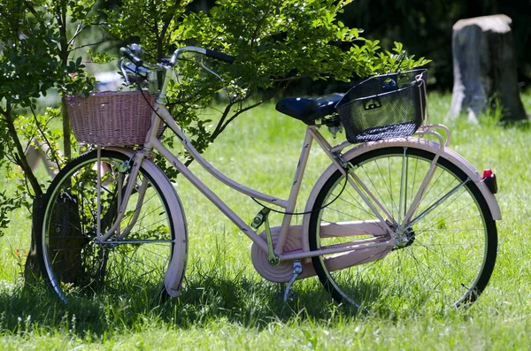 芝生に囲まれた畑の真ん中に木が停めたピンク色の自転車 — ストック写真