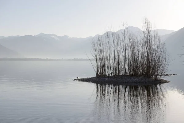 Bare Bushes Its Reflection Middle Lake Mountains Background Foggy Day — Stock Photo, Image