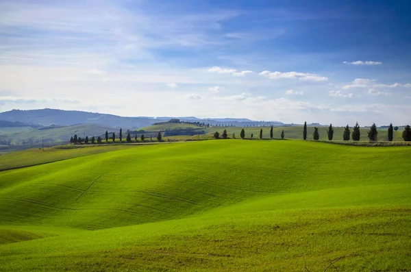 Een Prachtig Landschap Van Groene Glooiende Heuvels Naast Een Weg — Stockfoto