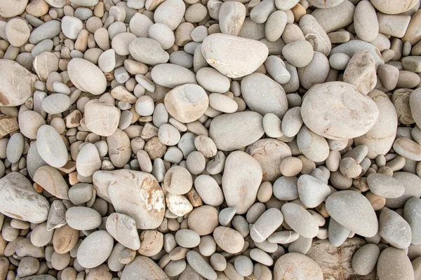 Primer Plano Pequeños Guijarros Blancos Fondo — Foto de Stock