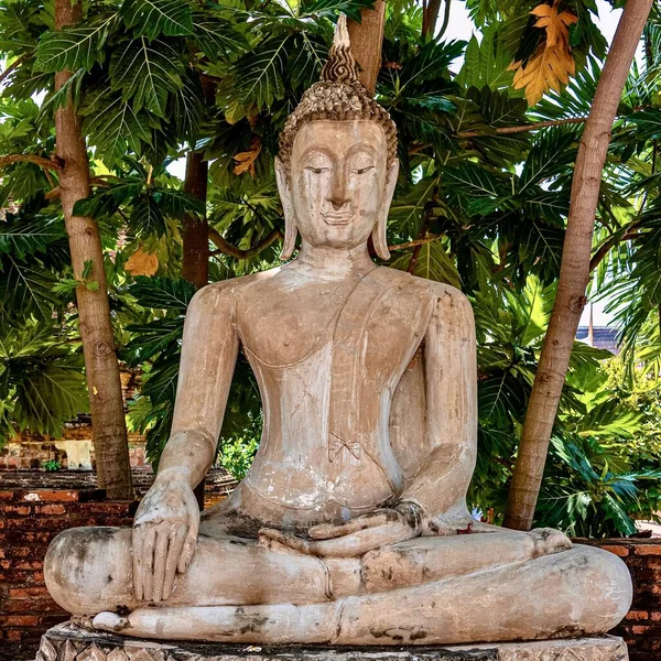 Belo Tiro Uma Estátua Antiga Buda — Fotografia de Stock