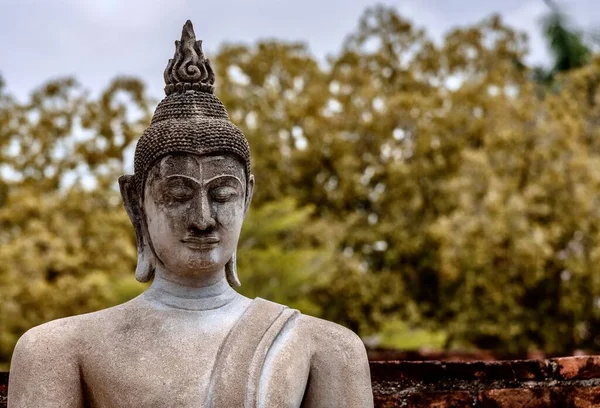 Disparo Enfoque Poco Profundo Una Antigua Estatua Buda —  Fotos de Stock