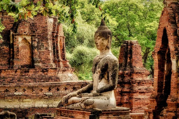 Bello Rodaje Una Antigua Estatua Buda —  Fotos de Stock