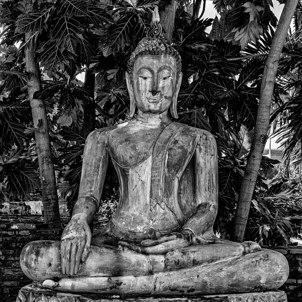 Una Bella Immagine Scala Grigi Della Statua Buddista Concetto Religioso — Foto Stock