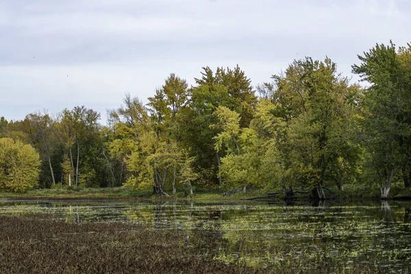 Der Ottawa River Umgeben Von Bäumen Mit Bunten Blättern Unter — Stockfoto