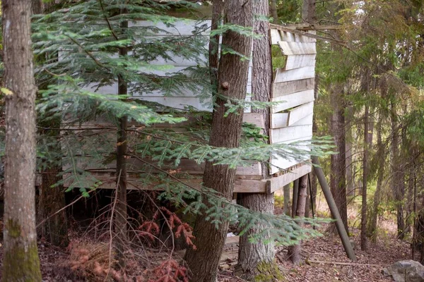 森林里一座小木屋的美丽照片 — 图库照片
