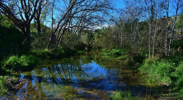 Belo Tiro Árvores Refletindo Sobre Lago Chadwick Lakes Ilhas Maltesas — Fotografia de Stock