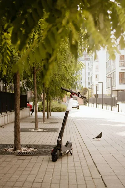 Een Verticaal Schot Van Een Elektrische Scooter Geparkeerd Onder Boom — Stockfoto