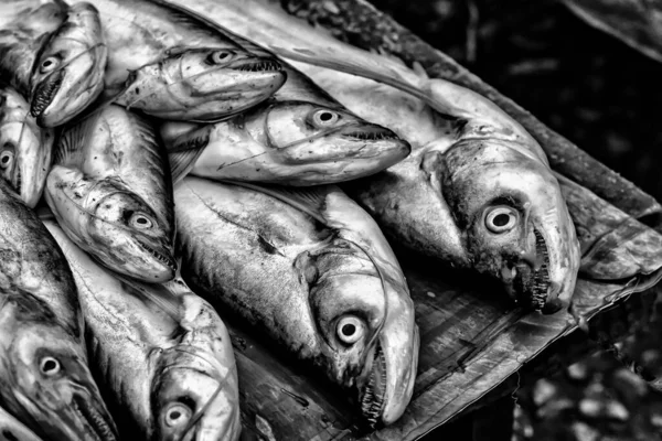 Krásný Snímek Pouličních Mořských Plodů Někde Asii — Stock fotografie