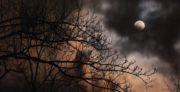 Titokzatos Sötét Képet Faágak Ellen Telihold Köd Tökéletes Fedél Horror — Stock Fotó