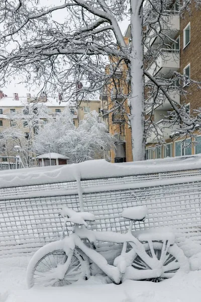 建物を背景に雪に覆われた自転車と木の魅惑的な景色 — ストック写真