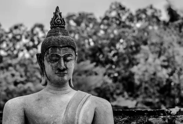 Belo Tiro Escala Cinza Estátua Budista Conceito Religioso — Fotografia de Stock