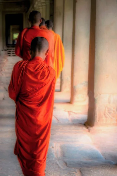 Вертикальный Снимок Молодых Монахов Оранжевых Платьях Идущих Ряд — стоковое фото