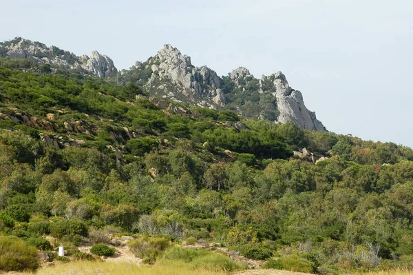 Belo Tiro Picaretas Montanha Uma Encosta Totalmente Coberta Árvores — Fotografia de Stock