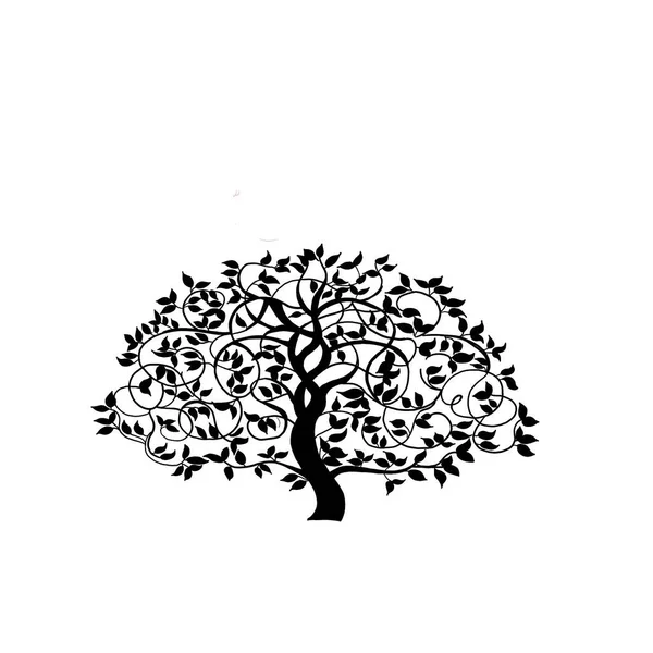 Beyaz Arka Planı Olan Bir Ağacın Güzel Bir Çizimi — Stok fotoğraf