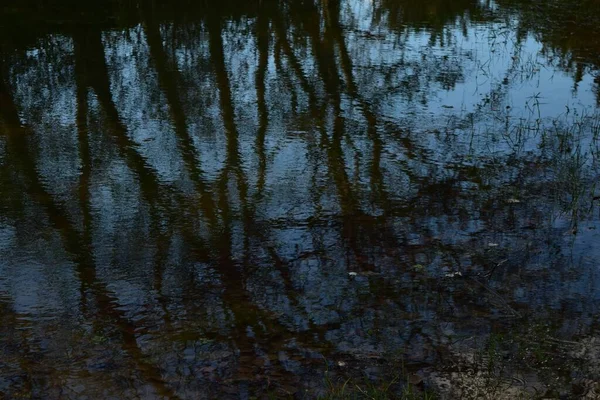 Een Prachtige Foto Van Bomen Reflecterend Een Meer Bij Chadwick — Stockfoto