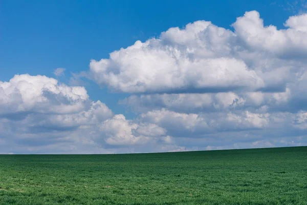 Piękne Zielone Trawiaste Pole Pod Puszystymi Formacjami Chmur — Zdjęcie stockowe