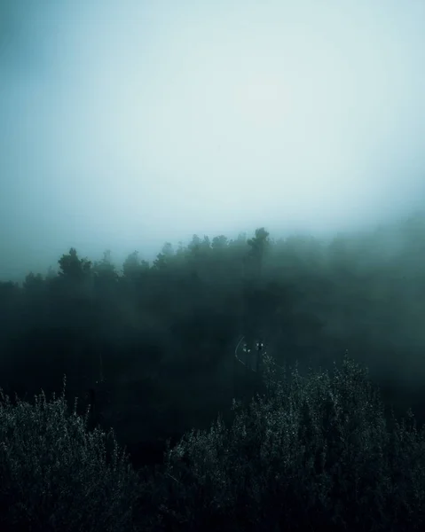 Una Vista Escalofriante Aérea Bosque Espeso Día Niebla —  Fotos de Stock