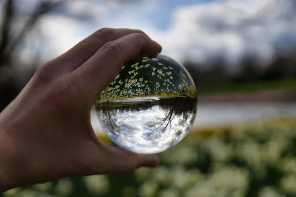 Вибірковий Знімок Фокуса Людської Руки Тримає Скляну Сферу — стокове фото