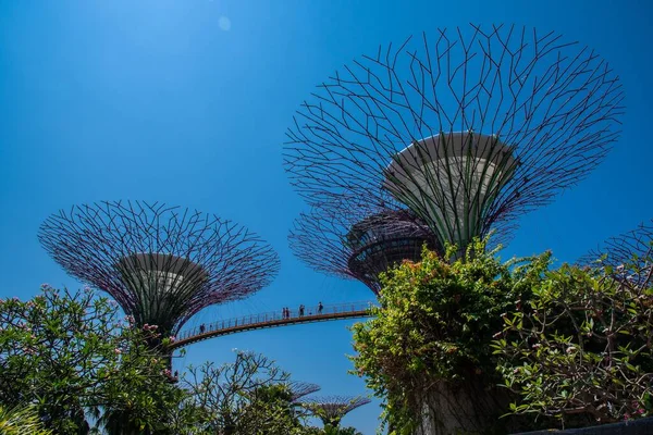Una Increíble Toma Los Jardines Junto Bahía Singapur — Foto de Stock