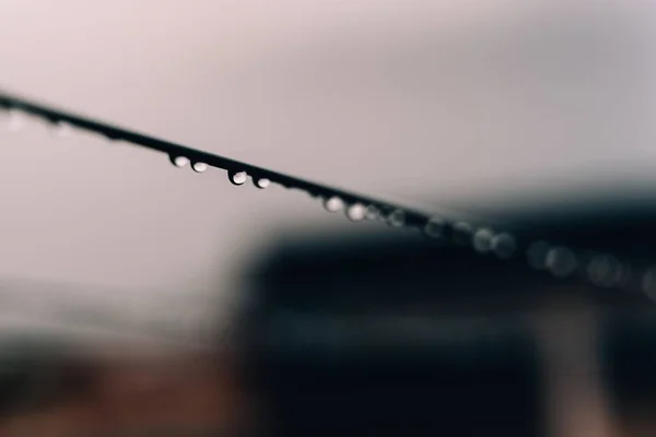 Ein Selektiver Fokusschuss Von Wassertropfen Die Einem Draht Hängen — Stockfoto