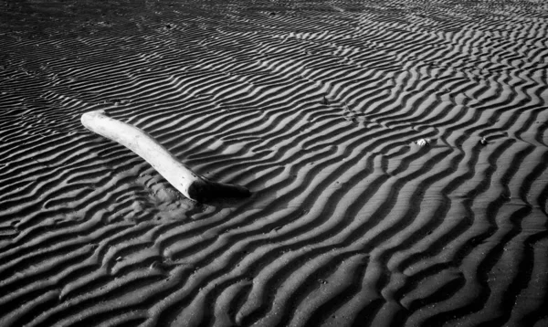 Ένα Γκρι Πλάνο Ενός Ξύλινου Ραβδιού Στην Άμμο Της Ακτής — Φωτογραφία Αρχείου