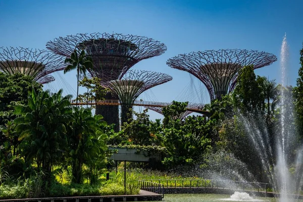 Una Increíble Toma Los Jardines Junto Bahía Singapur —  Fotos de Stock