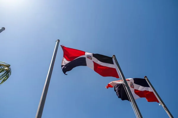 야자나무 근처에 장대에 도미니카 공화국에서 있었던 깃발의 각도를 낮추어 — 스톡 사진
