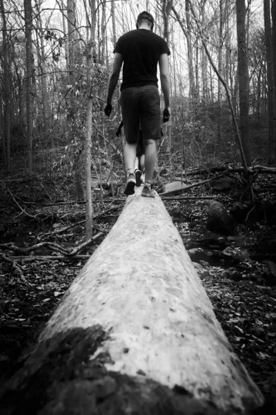 在森林的地面上 一只雄性动物在树干上行走的垂直灰度的照片 — 图库照片