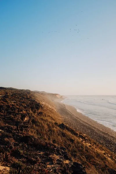 Vertical Shot Beach Sunrise Calm Ocean — Stock Photo, Image