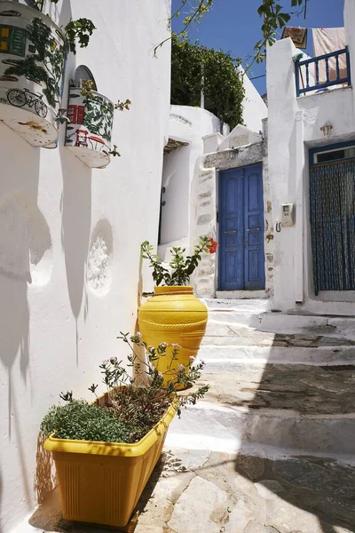 希腊阿莫罗戈斯岛上爱吉亚利五彩斑斓街道的垂直截图 — 图库照片