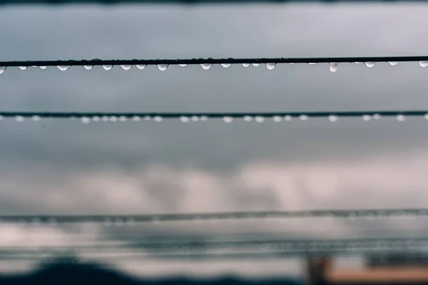 Selective Focus Shot Water Droplet Hanging Wires — Stock Photo, Image