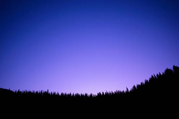 Eine Baumsilhouette Einem Wald Unter Blauem Und Violettem Himmel — Stockfoto