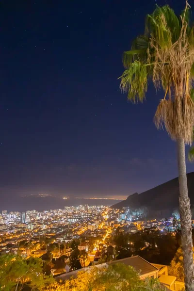 Plano Vertical Ciudad Capetown Sudáfrica Junto Árbol —  Fotos de Stock