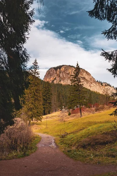 Eine Vertikale Aufnahme Eines Schmalen Weges Der Einem Bewaldeten Berg — Stockfoto