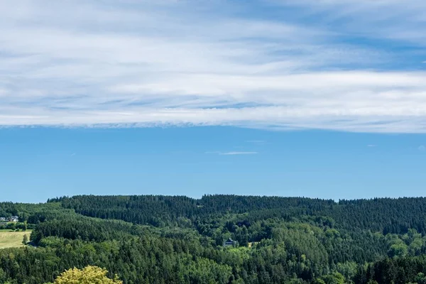 Fitta Foresta Verde Una Valle Verde — Foto Stock