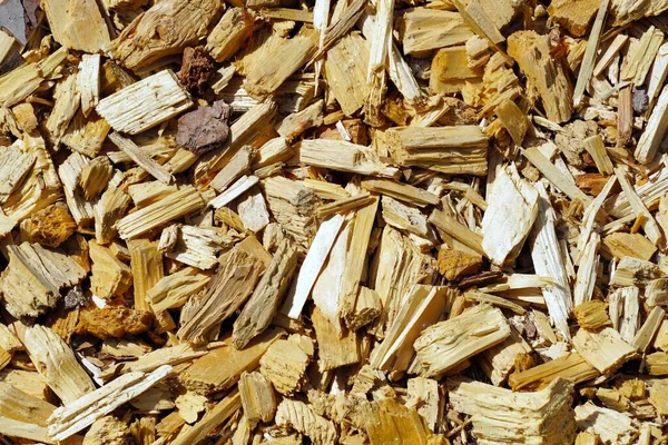 Beautiful Shot Small Wood Chips Bunch — Stock Photo, Image