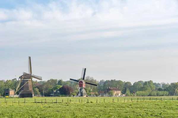 Vacker Bild Väderkvarnar Ett Fält Med Grumlig Blå Himmel Bakgrunden — Stockfoto