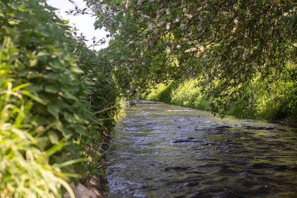 Ποταμός Που Περιβάλλεται Από Γρασίδι Και Φυτά Κατά Διάρκεια Της — Φωτογραφία Αρχείου