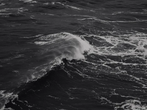 Серый Снимок Большой Волны Ломающейся — стоковое фото