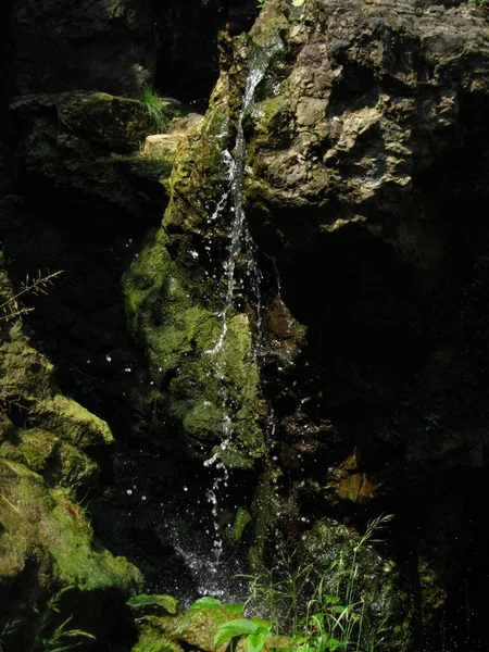 Eine Nahaufnahme Von Fließendem Wasser Auf Bemoosten Felsen — Stockfoto