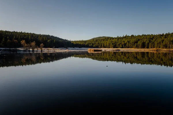 Piękne Ujęcie Krajobrazu Jeziora Odzwierciedlającego Las — Zdjęcie stockowe