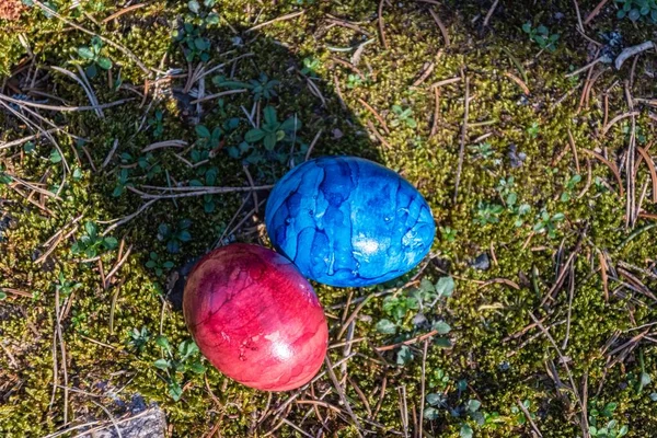 Closeup Shot Blue Red Colored Eggs Grass Easter — Stock Photo, Image