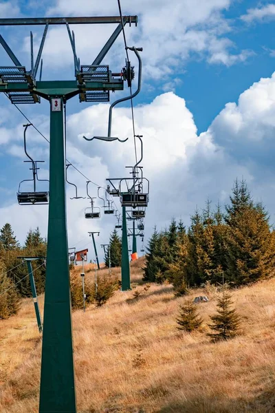 Eine Vertikale Aufnahme Einer Seilbahn Umgeben Von Fichten Und Viel — Stockfoto