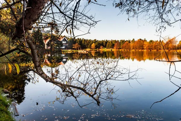 Beautiful Horizontal Shot Landscape Forest Edge Lake — Stock Photo, Image