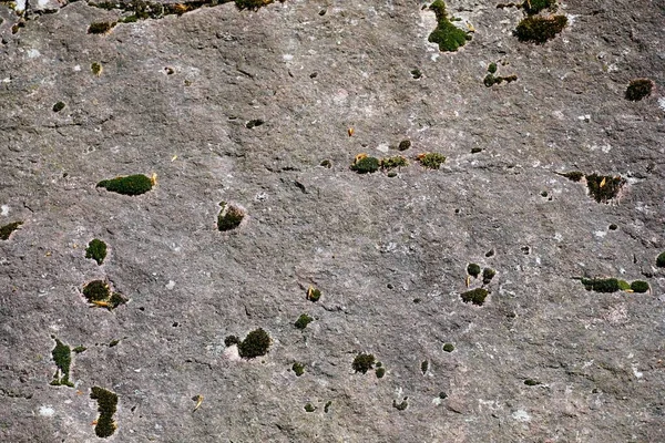 Een Close Shot Van Een Stenen Oppervlak Bedekt Met Mos — Stockfoto