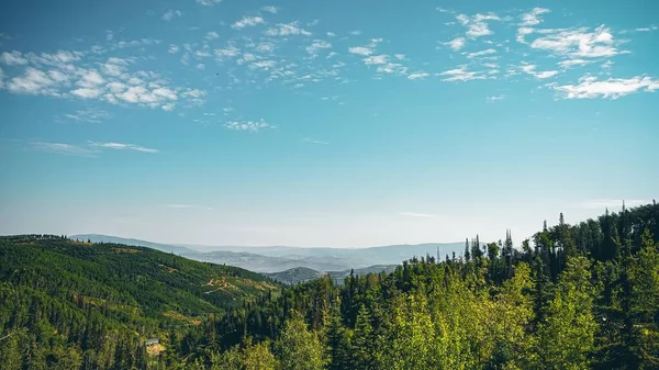 Красиві Дерев Яні Пагорби Долини Під Захоплюючим Блакитним Небом — стокове фото