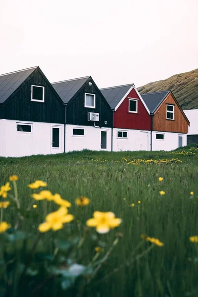 Une Mise Point Sélective Verticale Maisons Blanches Vertes Dans Champ — Photo