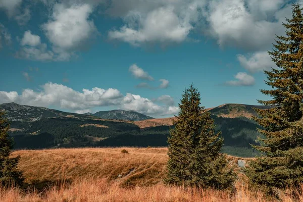 Прекрасний Вид Дерева Пагорбі Горами Задньому Плані Під Хмарним Небом — стокове фото
